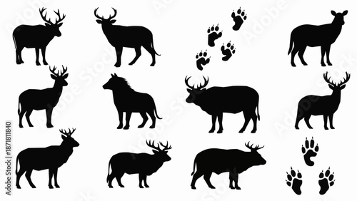 Deer Silhouette Collection with Paw Prints Vector Art.