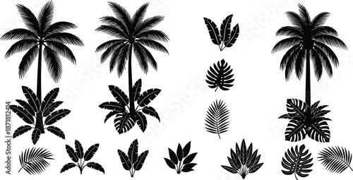 Tropical palm tree and leaves silhouette collection, black botanical jungle plants vector set, minimal nature design elements