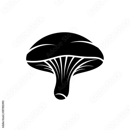 Modern ceiling lamp design