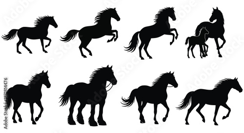 Elegant horse silhouettes showcase various poses and movements in a black design