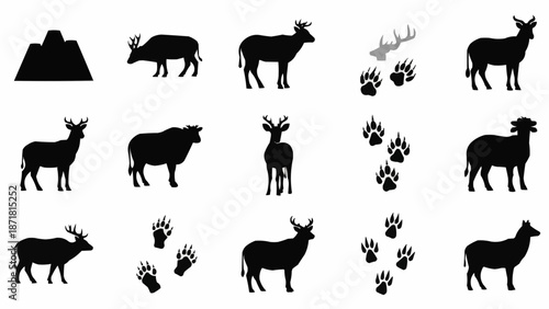 Collection of Wildlife Animal Silhouettes and Footprints.