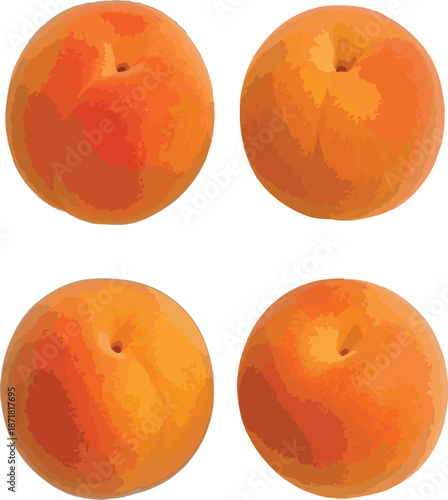 Four Whole Orange Apricots fruit food