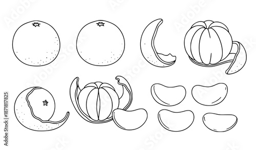 Mandarin orange cartoon vector set with whole, peeled, and segment fruits on white background