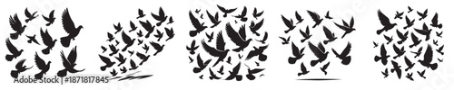 A collection of five distinct black silhouette designs depicting flocks of birds, possibly doves or pigeons, in various flight formations against a white background.