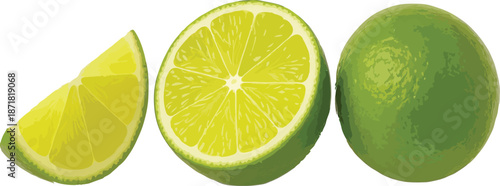 Lime Slice Half and Whole Lime on White citrus fruit
