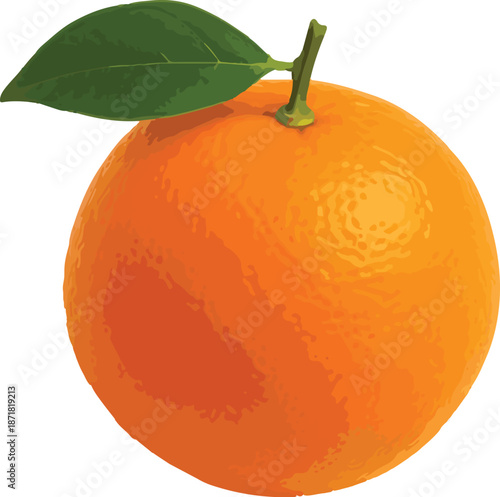 Orange Fruit with Green Leaf Isolated on White Keywords: orange, fruit, citrus, food, healthy