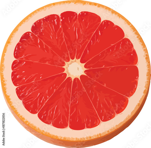 Slice of Pink Grapefruit with Segments citrus