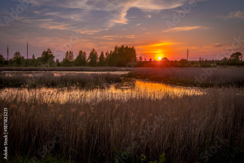 Obraz na plátne Sunset over reedy wetlands near Rostov city, Russia, casts golden glow on marshes