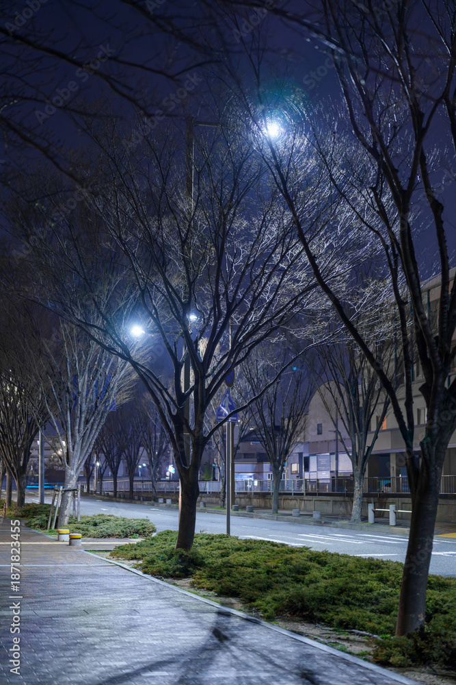 Obraz premium 人のいない夜のストリート、都市の静けさを切り取る