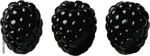 Three Blackberries in a Row berry dark