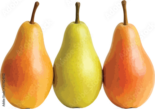 Three Pears in a Row Orange and Green fruit