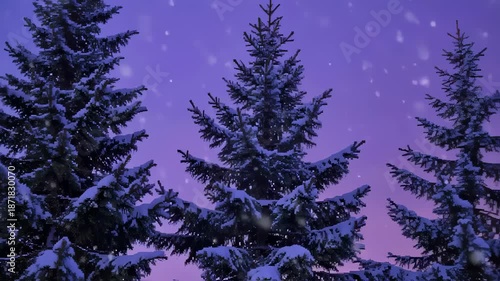 Snow-Covered Pine Trees Under Gentle Purple Twilight Sky with Falling Snowflakes. Seamless looping 4k video background 