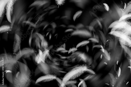 Whirling vortex of luminous feathers spinning into dark center, monochrome motion capturing surreal dream tunnel between weightless sleep and quiet waking reality


