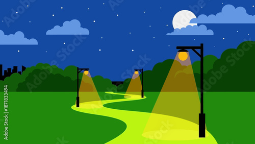 Winding path illuminated by street lamps under a starry night sky.