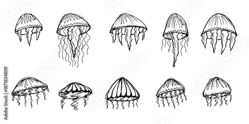 Set of hand drawn jellyfish doodle Sea animal illustration Cute marine underwater creature Medusa sketch clipart Single element for web, design, decor, children's print