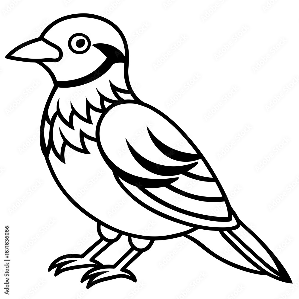 Fototapeta premium bird on white background