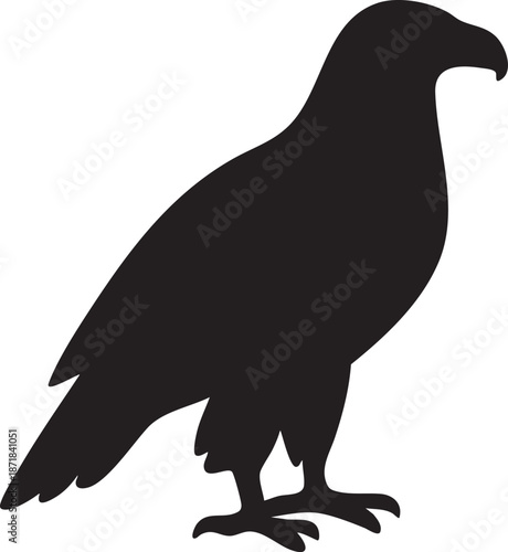 Eps file metadata details for a vector design created in illustrator