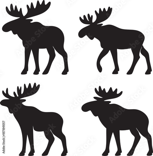 Detailed analysis of an eps file metadata for vector design