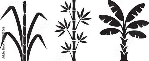 tropical plants sugarcane bamboo and banana leaves clean silhouette vector illustrations
