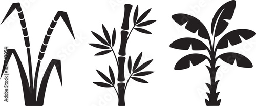 tropical plants sugarcane bamboo and banana leaves clean silhouette vector illustrations