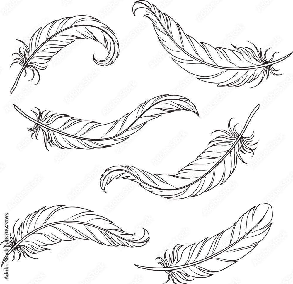 Obraz premium Feathers Set in Hand-Drawn Style with Black and Color on for Tattoo Design isolated on a transparent background