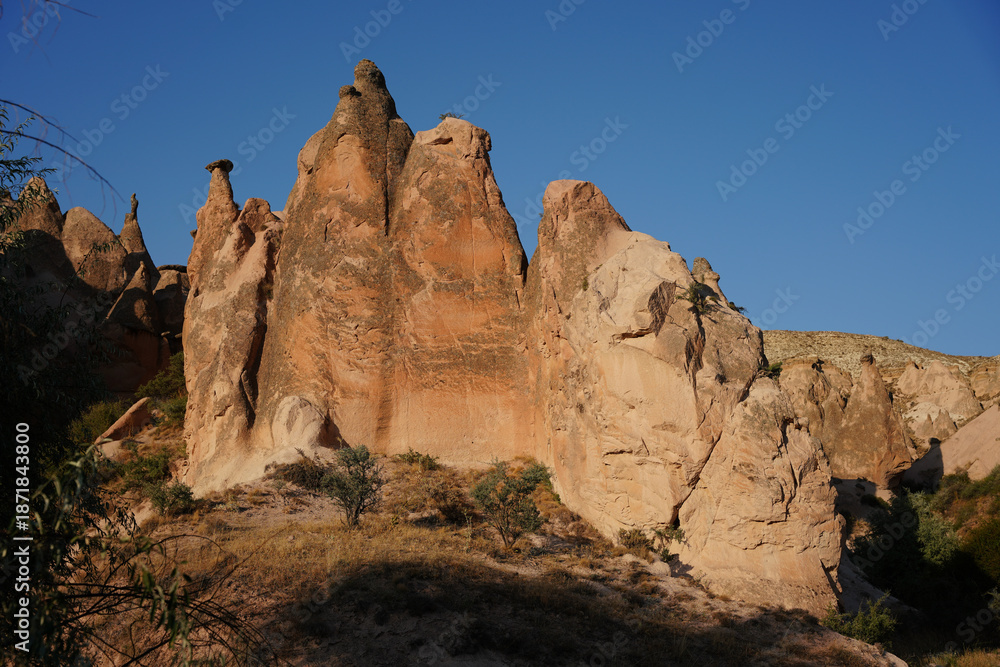 Fototapeta premium Rock Formations in Devrent Valley, Cappadocia, Nevsehir, Turkiye