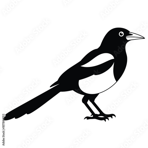 A simple black and white illustration of a magpie perched gracefully