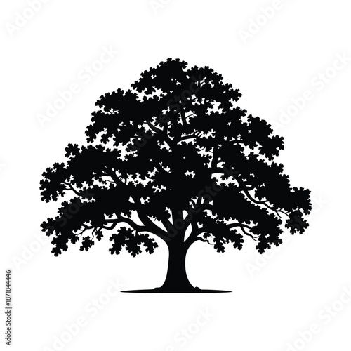 A striking silhouette of a lush fully grown oak tree in black