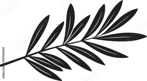 Black and white palm leaf