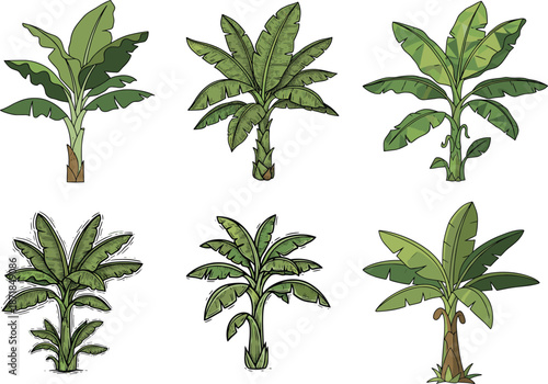 Banana plant illustration collection with varying artistic styles, including detailed drawings, minimalistic designs, and vibrant tropical leaves for nature graphics