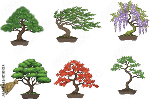 Bonsai tree illustration, flowering bonsai art, Japanese horticulture graphic, stylized foliage, seasonal bloom, nature design, purple and red flowers**