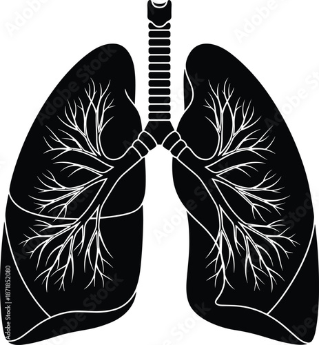 human lungs anatomy illustration, respiratory system silhouette, bronchial tree diagram, medical healthcare concept, pulmonary anatomy, black and white