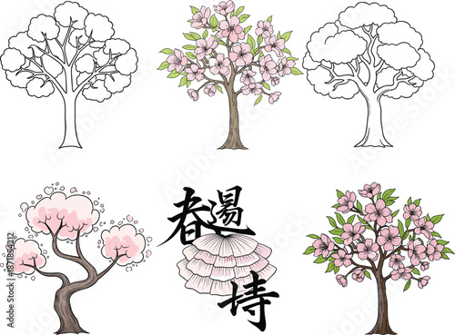 Cherry blossom tree illustration, pink flower art, Asian botanical design, spring nature graphic, Japanese style, outline and colored versions**