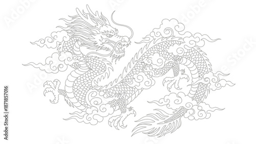 chinese dragon illustration