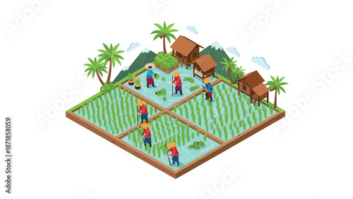 Isometric rice farming scene with farmers in paddy fields and traditional houses