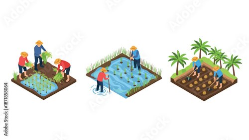Isometric farming scenes with farmers planting rice and vegetables