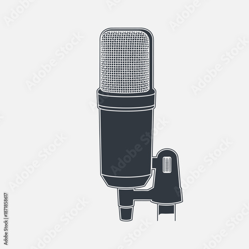 Studio Microphone with Shock Mount.