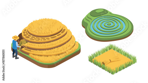Isometric terraced farming and agriculture vector set with crops and fields
