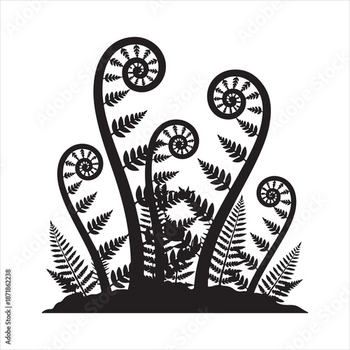 Silhouette black fern frond spiral, A fern leaf swirl silhouette vector illustration