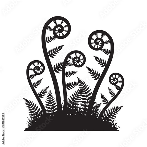 Silhouette black fern frond spiral, A fern leaf swirl silhouette vector illustration