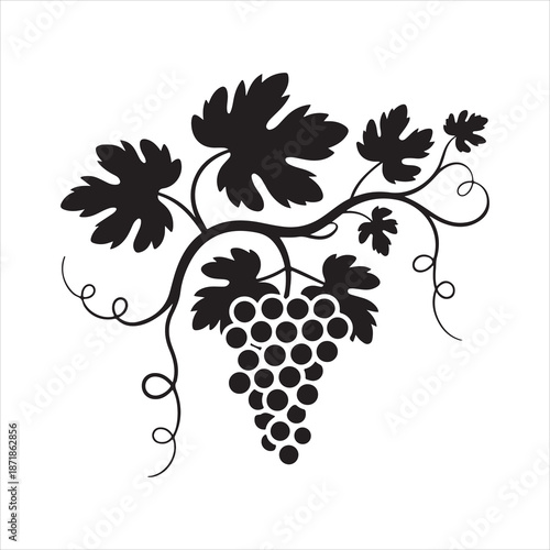 Black silhouette of a grapevine bunch vector illustration