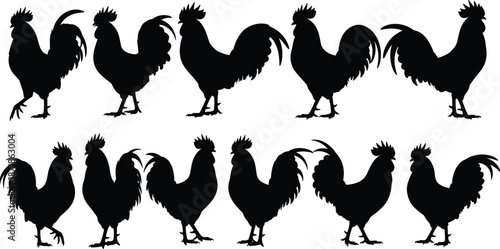 Black rooster silhouette collection, farm chicken vector set, poultry animal shapes isolated, rural agriculture design elements