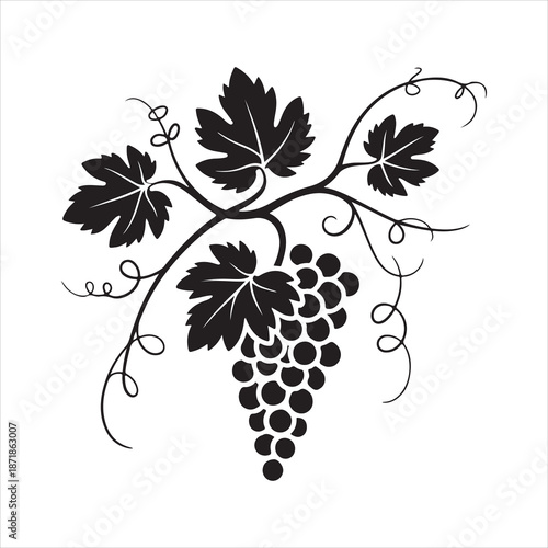 Black silhouette of a grapevine bunch vector illustration