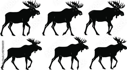 Moose silhouette set, walking elk poses collection, wild forest animals, northern wildlife mammal, isolated vector illustration