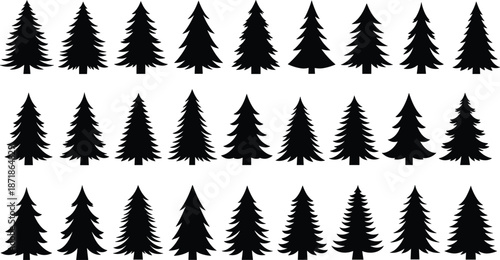 Pine tree silhouette set, evergreen forest collection, fir spruce shapes, nature landscape elements, isolated vector illustration