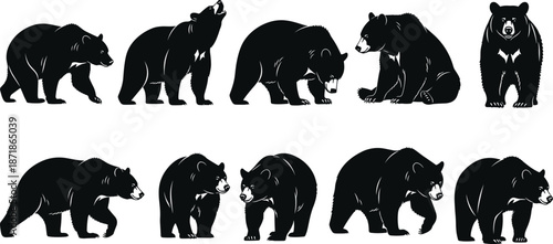 Black bear silhouette set, wild animal collection, multiple poses, walking standing sitting bears, isolated vector illustration