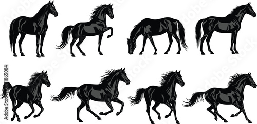 Black horse silhouette collection showing running, walking, standing poses isolated on white background, animal motion set