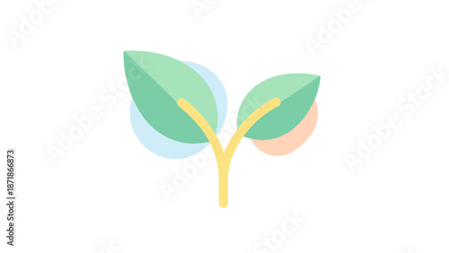 green tree branch on white background