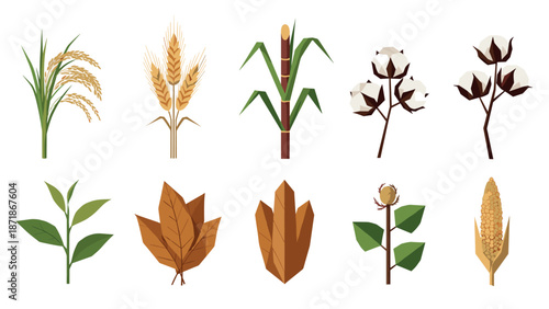 Flat design icons of agricultural plants and leaves including rice, wheat, and cotton
