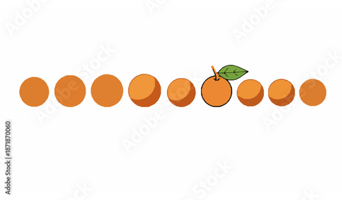 Orange fruit vector row with green leaf in minimalist flat style on white background